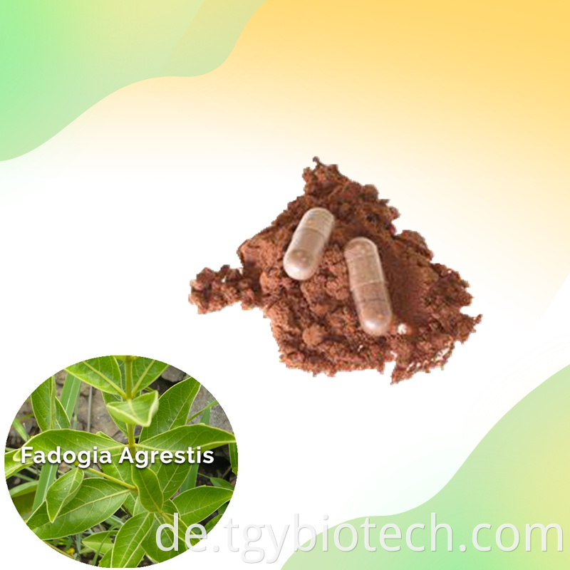 Fadogia Agrestis Extract